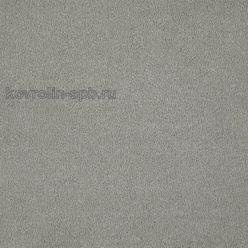 Вестминстер 39