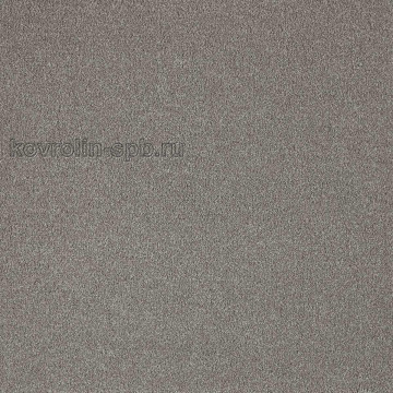 Вестминстер 49