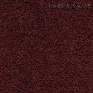 Сертоза 12