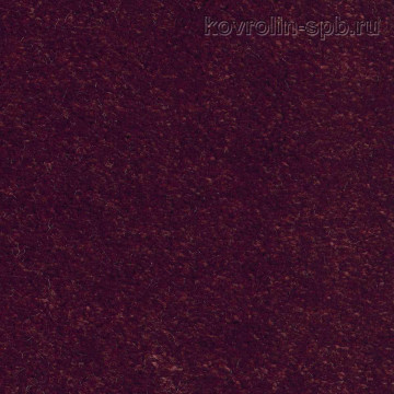 Эйфория 11
