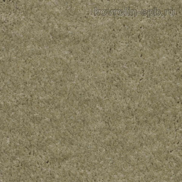 Эйфория 29