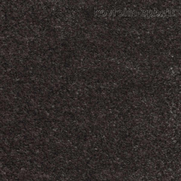 Эйфория 43