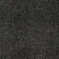 Парана 99