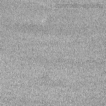 Секрет 95