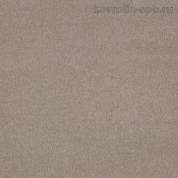 Сентимент 40