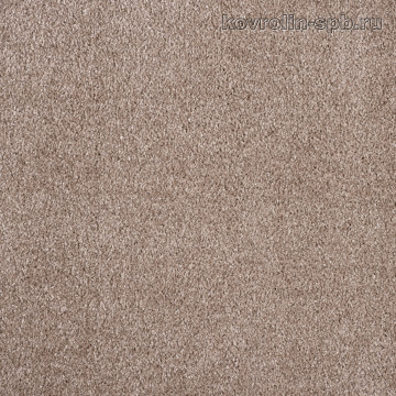 Меконг 40