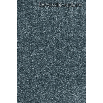Омния 74