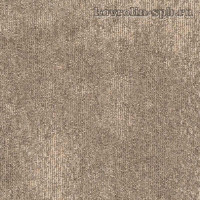 Сэнсей Beige