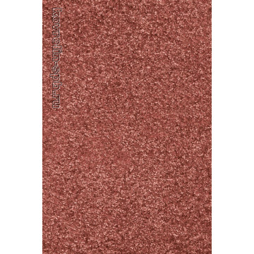 Юкон 81