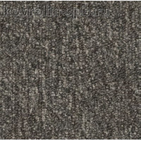 Медуза 43