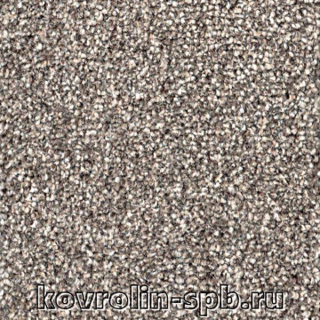 Парадиз 570